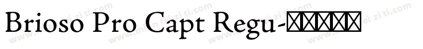 Brioso Pro Capt Regu字体转换